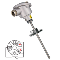 RTD01 Temperature probe PT100 with head and stem in stainless steel AISI 316 and flange connection RTD01 Temperature probe PT100 with head and stem in stainless steel AISI 316 and