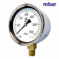 M0402 Low-Pressure Capsule Gauge with Zinc-Plated Steel Case