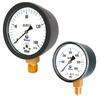 Low-Pressure Capsule Gauge with Black Steel Case Low-Pressure Capsule Gauge with Black Steel Case M0401